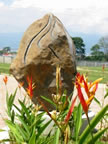 Foto escultura IBO 3